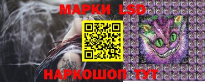 Альфа ПВП Камышлов
