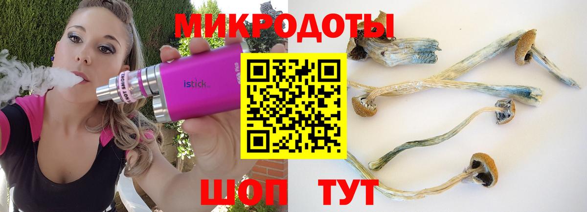 Псилоцибиновые грибы прущие грибы Вологда